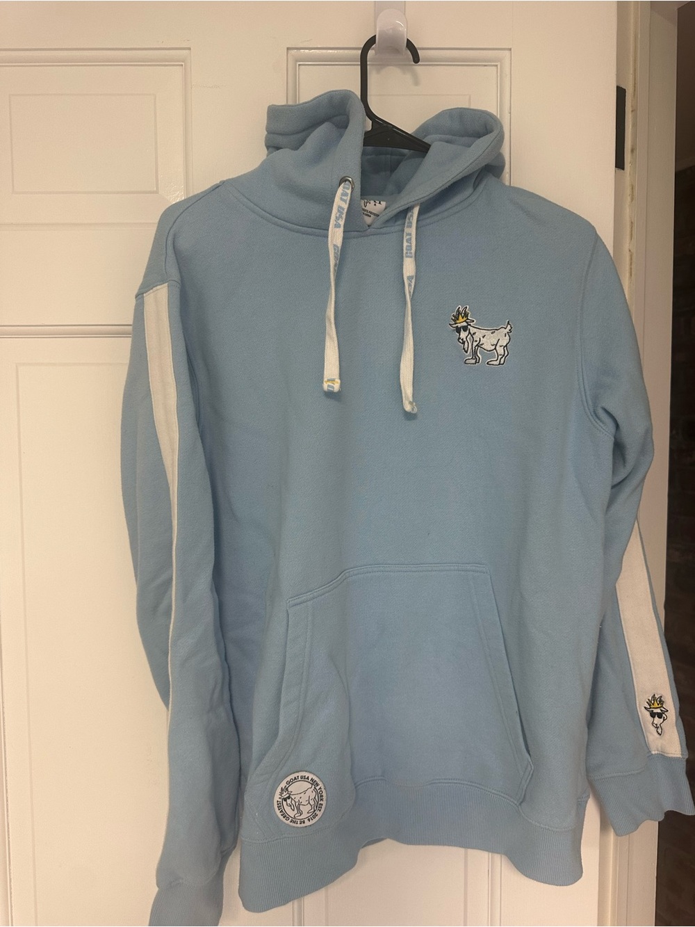 Light Blue Goat Logo Pullover Hoodie
